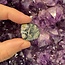 Crocodile (Kambaba) Jasper (Green Stromatolite) - Tumbled