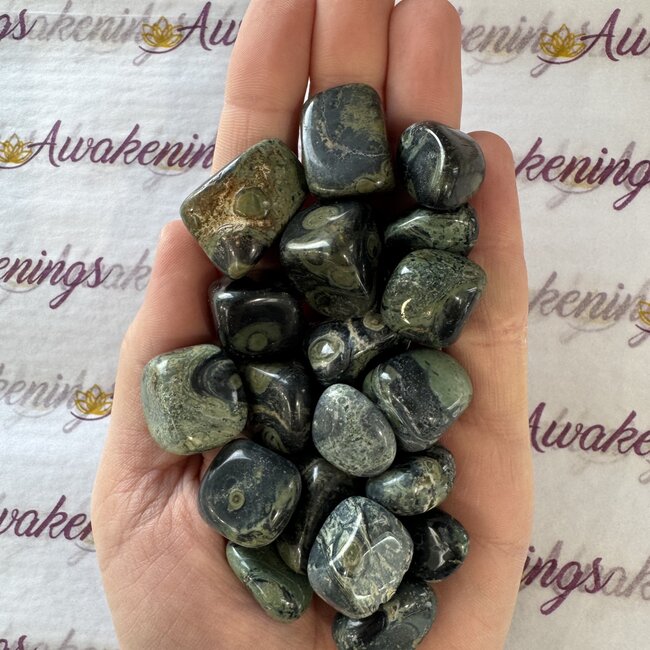 Crocodile (Kambaba) Jasper (Green Stromatolite) - Tumbled
