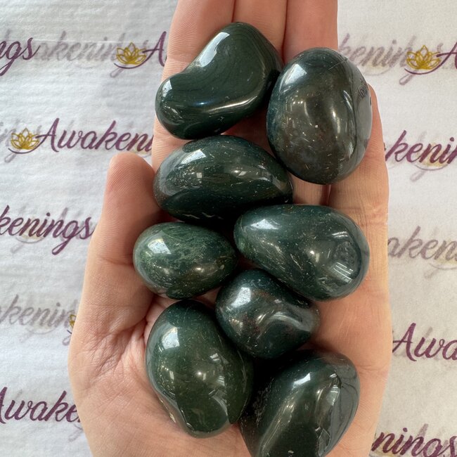 Bloodstone (Seftonite Septonite Setonite Heliotrope)- Tumbled XL (Extra Large)