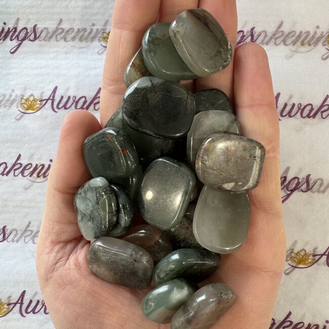 Bloodstone (Seftonite Heliotrope) Flat Stone - Mini Slice Slab