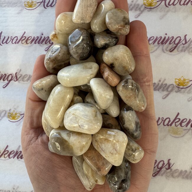 Belomorite Moonstone - Tumbled