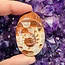 Ammonite Palmstone