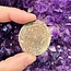 Floating Fossil Coral - Rough Raw Natural