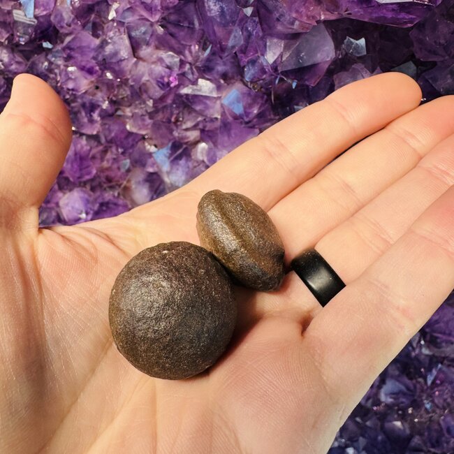 Moqui Balls Marbles (Shaman Stones) - Pair Set Large Thunderballs - Rough Raw Natural