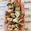 Petrified Wood Slices - Small Rough Raw Natural Slab Flat