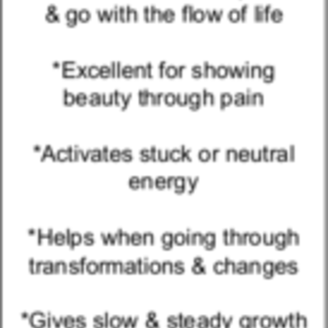 Peanut Wood Obsidian Rings - Size 10 Marquee Marquise Bezel Set - Sterling Silver