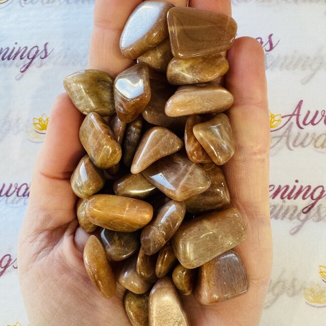 Golden Feldspar (AAA Grade) - Tumbled