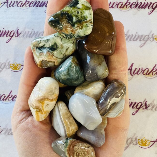 Saturn Chalcedony - Tumbled (Large)