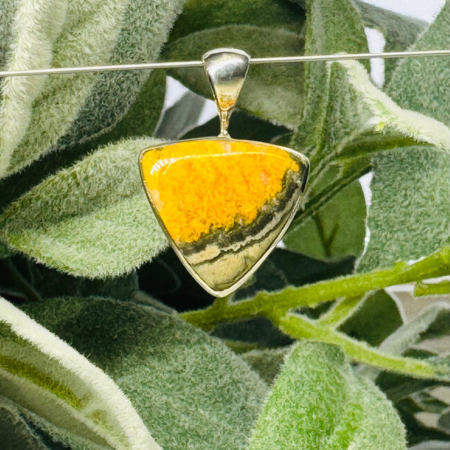 Bumble Bee Bumblebee Jasper Pendants - Triangle Bezel Set - Sterling Silver
