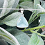 Aquamarine Pendant - Triangle Faceted Bezel Set - Sterling Silver