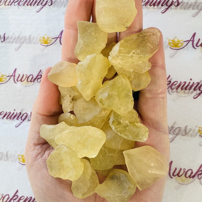 Libyan Tektite Desert Glass (Great Sand Sea Glass Lechatelierite) - Rough Raw Natural