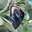 Sugilite & Bustamite Pendants - Oblong Bezel Set - Sterling Silver