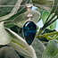 Shattuckite Pendants - Teardrop Pear Bezel Set - Sterling Silver