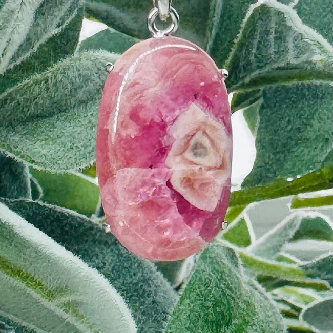 Pink Cobaltoan (Cobaltian Cobalto Salrose Cobaltocalcite) CalcitePendants - Oval Claw Set - Sterling Silver