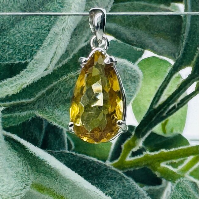 Congo Citrine Pendants - Teardrop Pear Faceted Claw Set - Sterling Silver