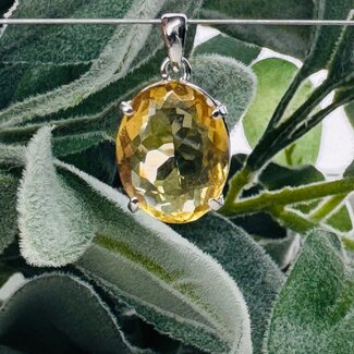 Congo Citrine Pendants - Oval Faceted Claw Set - Sterling Silver