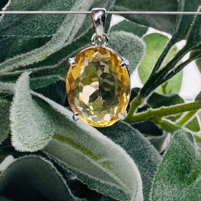 Congo Citrine Pendants - Oval Faceted Claw Set - Sterling Silver