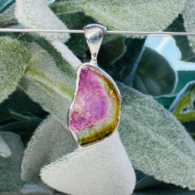 Watermelon (Pink Green) Tourmaline Pendants - Natural Slice Bezel Set - Sterling Silver