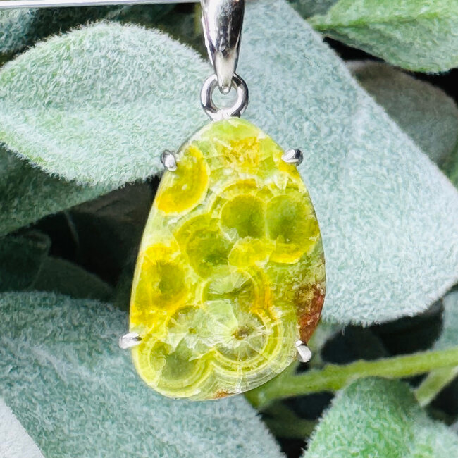 Wavellite Pendants - Oblong Claw Set - Sterling Silver