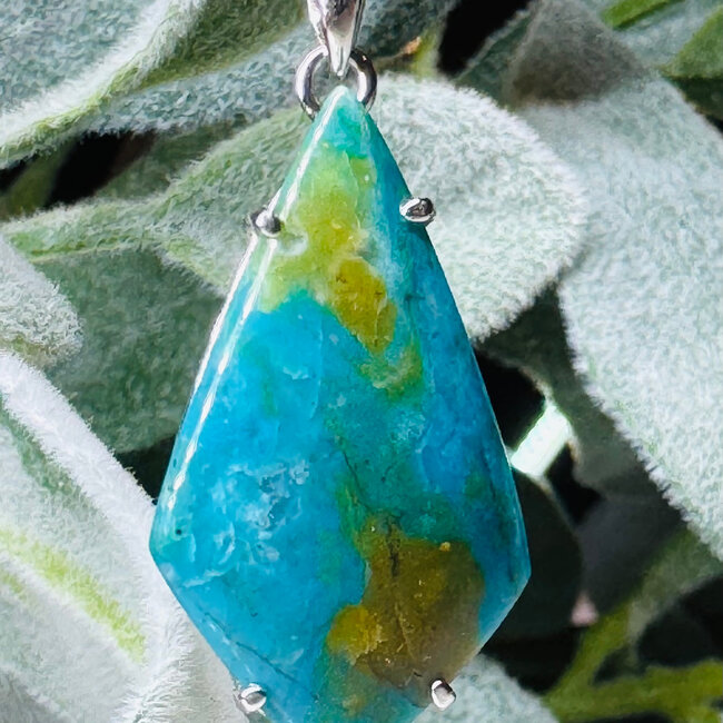 Peruvian Blue Opal Pendants - Teardrop Pear Diamond Claw Set - Sterling Silver
