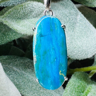 Peruvian Blue Opal Pendants - Long Oval Claw Set - Sterling Silver