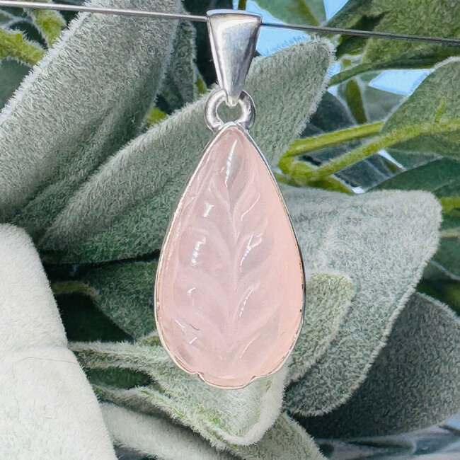 Rose Quartz Pendants - Leaf Carving Teardrop Pear #4 - Bezel Set Sterling Silver