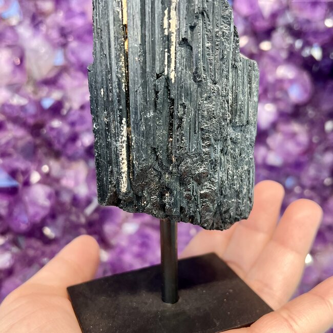 Black Tourmaline on Black Metal Stands Pins - Large 4-5.5" Display Specimen