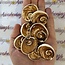 Eye of St Saint Lucia Shells - Large Mermaid's Money - Rough Raw Natural
