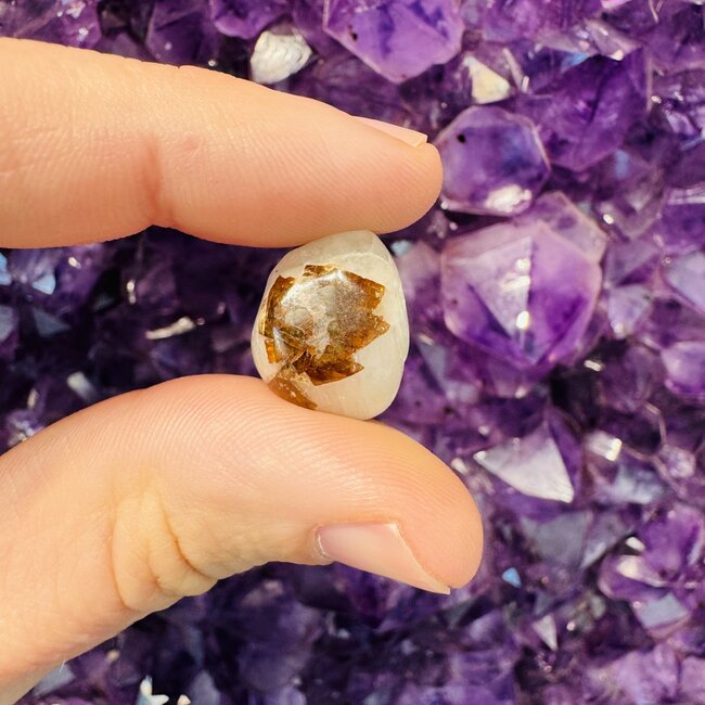 Cryolite & Siderite - Tumbled