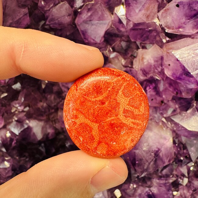 Orange Red Sponge Coral Round Flats - Mini Palm Stones Slices Slabs
