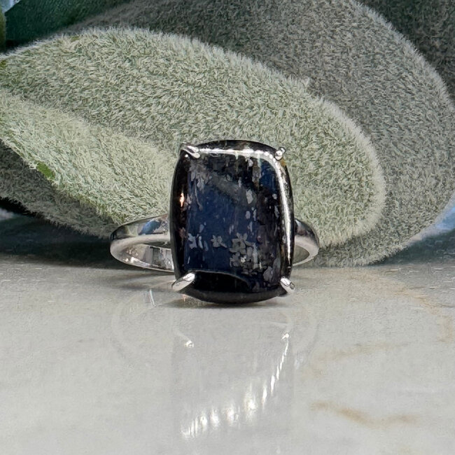 Nuummite Rings - Size 10 Rectangle Claw Prong Set - Sterling Silver