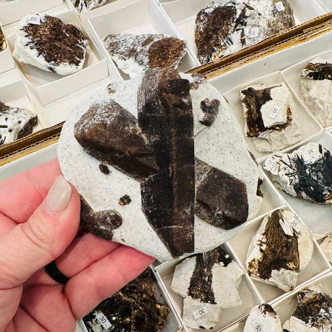 Staurolite (Fairy Cross) - XL 3.5" Specimen Display - Rough Raw Natural