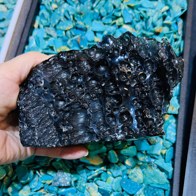 Black Obsidian (Bubbled) Free Form Specimen Display  - Large Rough Raw Natural