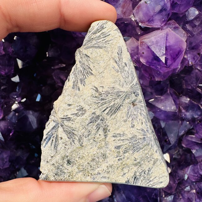 Holmquistite (Amphibole) Free Form - Medium