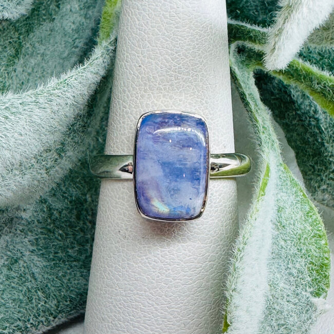 Purple Rainbow Moonstone Rings - Size 8 Rectangle Bezel Set - Sterling Silver