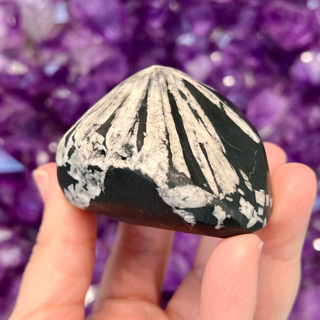 Chrysanthemum (Flower) Stone - Rounded Point Mound Free Form 2"