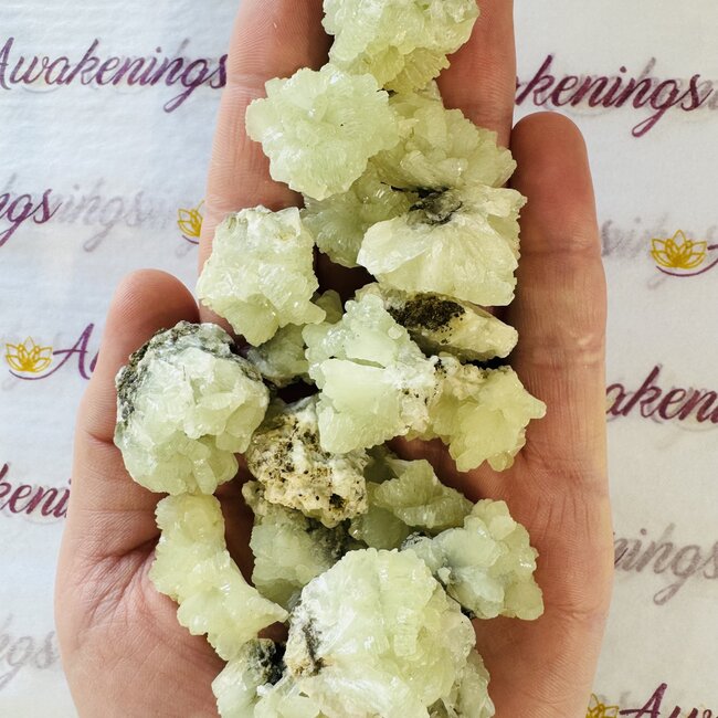 Green Prehnite Cluster - Small Rough Raw Natural