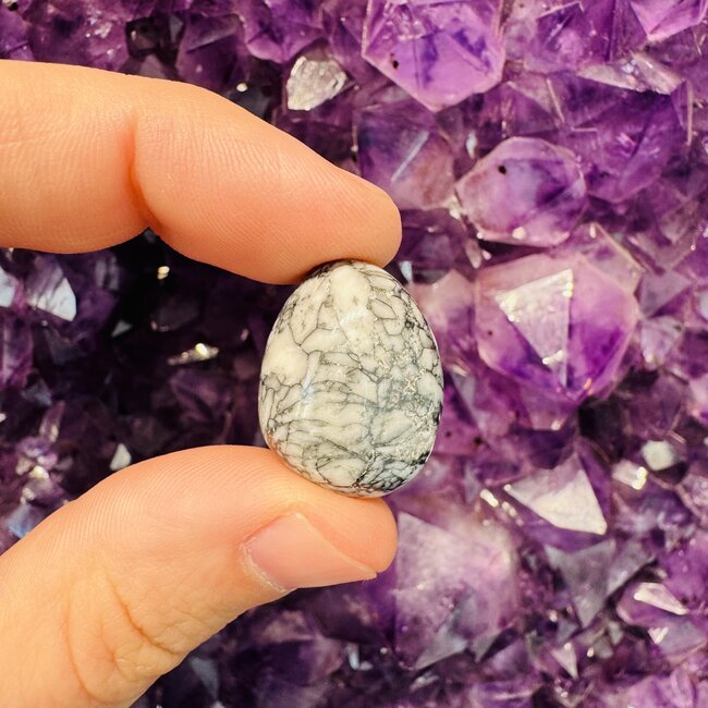 Pinolith Stone Jasper- Tumbled (Pine Nut Jasper)
