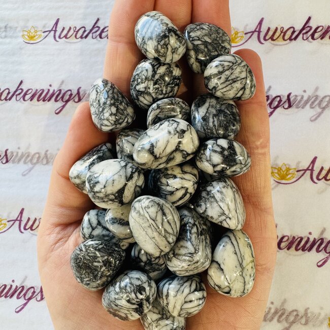 Pinolith Stone Jasper- Tumbled (Pine Nut Jasper)