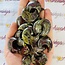 Dragons Blood Jasper Crescent Moon - Medium