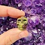 Dragons Blood Jasper Skull - Mini