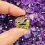 Dragons Blood Jasper Skull - Mini