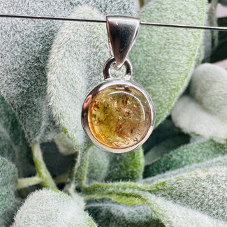 Imperial Topaz Pendants - Round Circle #1 Bezel Set - Sterling Silver