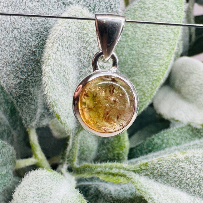 Imperial Topaz Pendants - Round Circle #1 Bezel Set - Sterling Silver