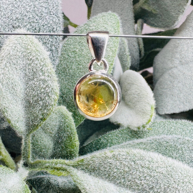Imperial Topaz Pendants - Round Circle #2 Bezel Set - Sterling Silver