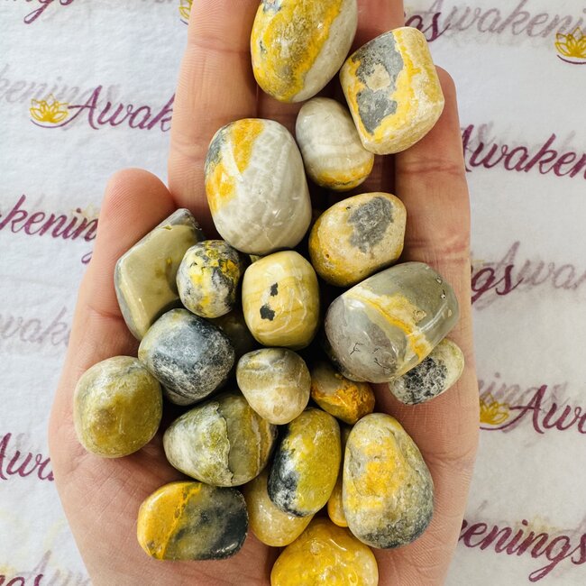 Bumblebee Jasper - Tumbled