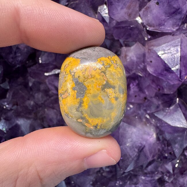 Bumblebee Jasper - Tumbled Large