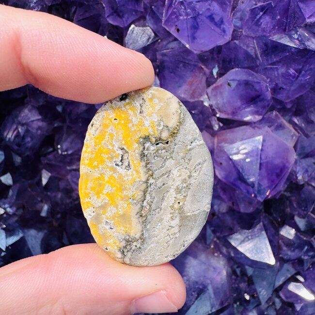 Bumblebee Bumble Bee Jasper Flats Slices Slabs - 1-2"