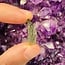 Moldavite (Small) - Rough Raw Natural (0.5-1 gram)