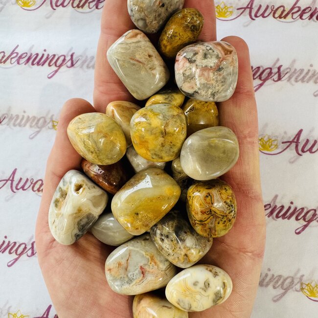 Crazy Lace Agate - Tumbled
